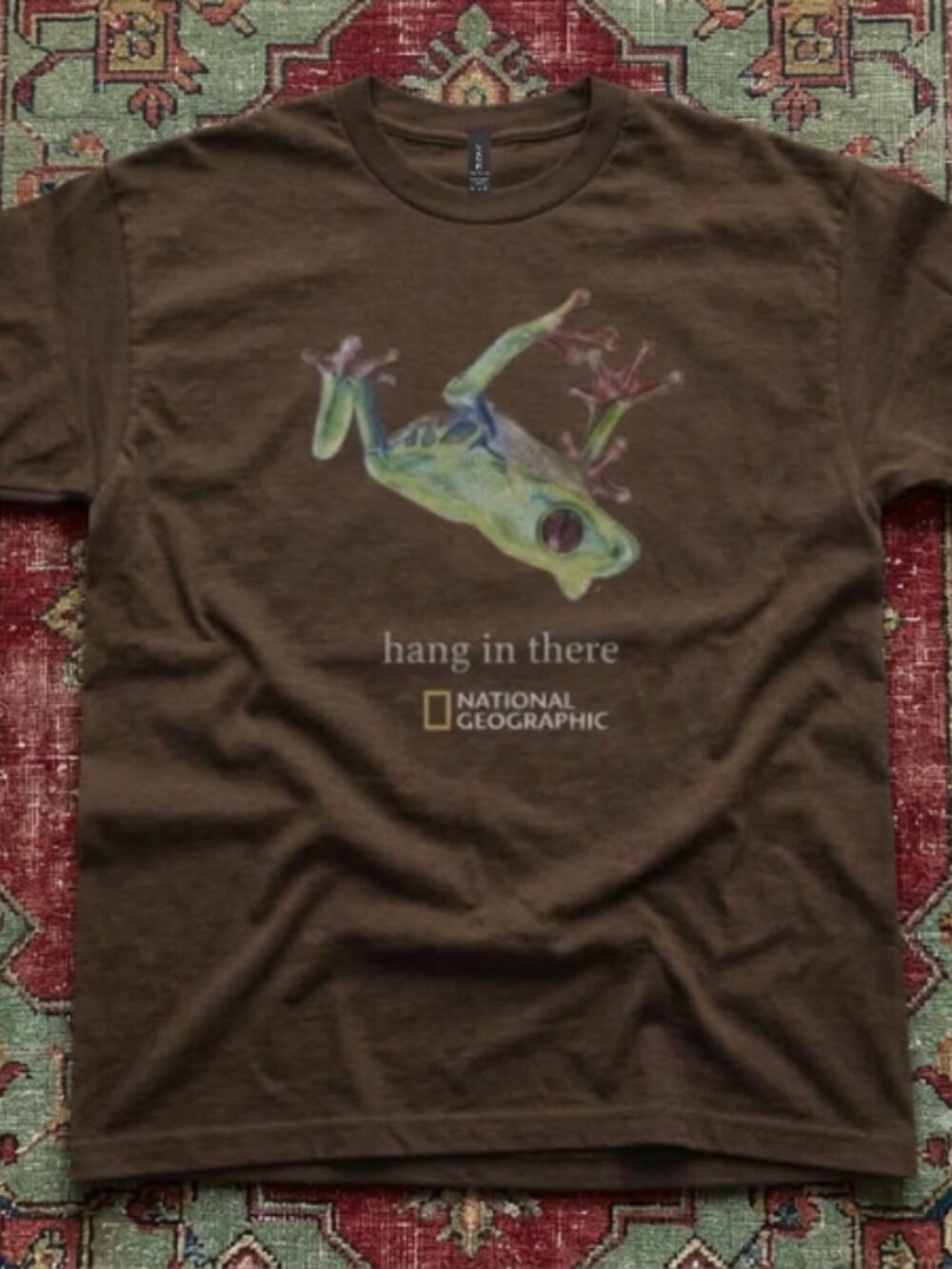 National Geographic hang in here frog brown tee